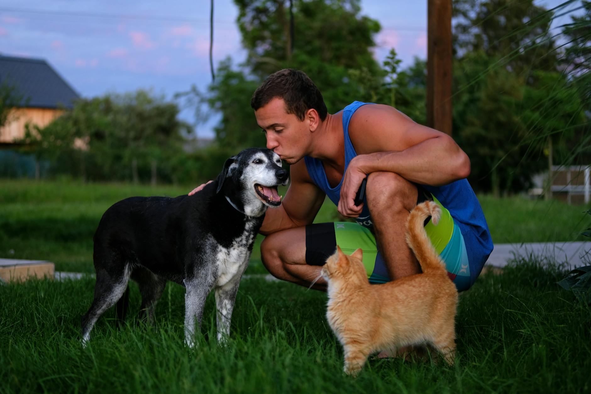 Pet Food & Subscription Email Strategy: Keeping Customers Loyal to Your Brand (Not Just the Pet)